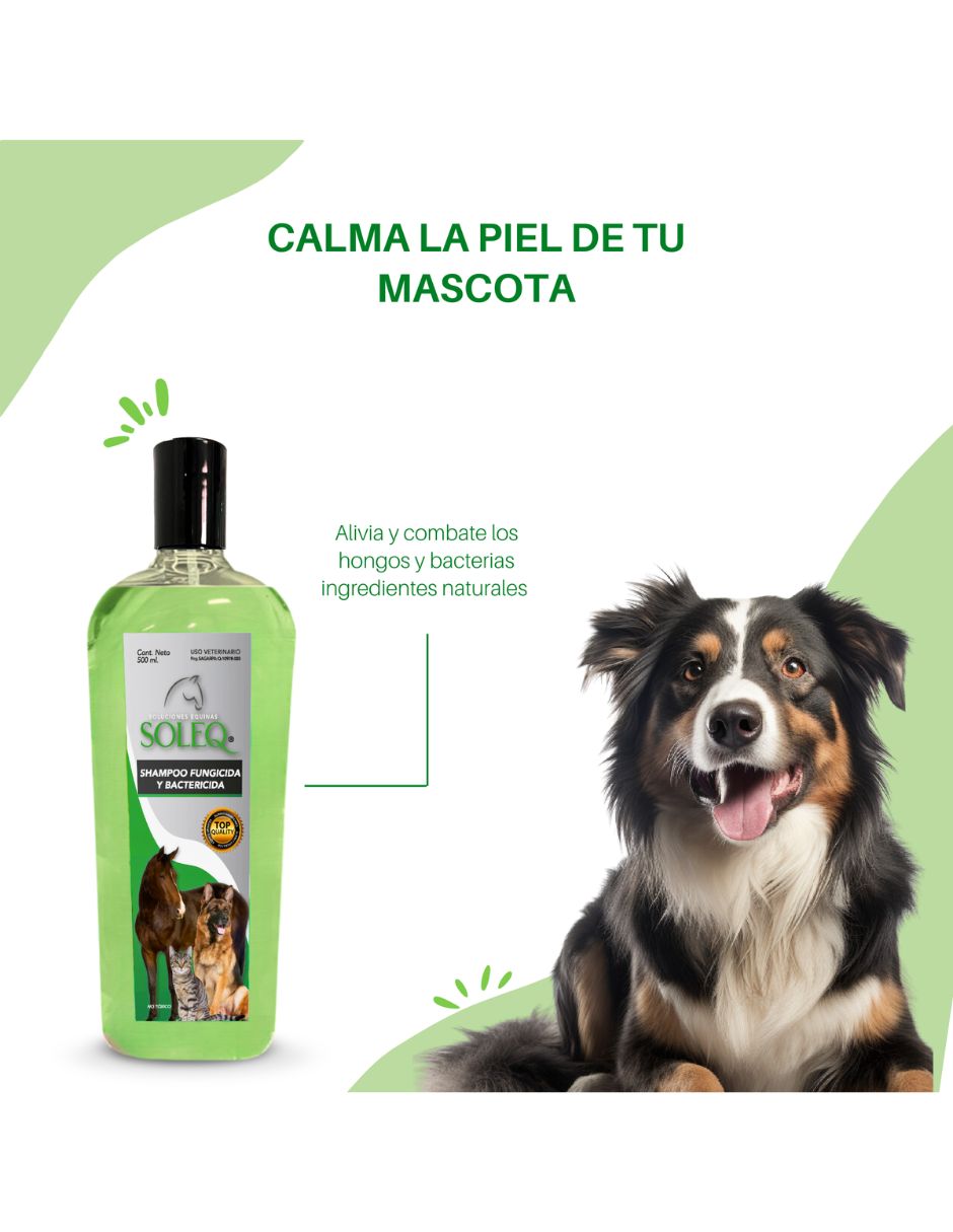 Shampoo Soleq para perro y gato