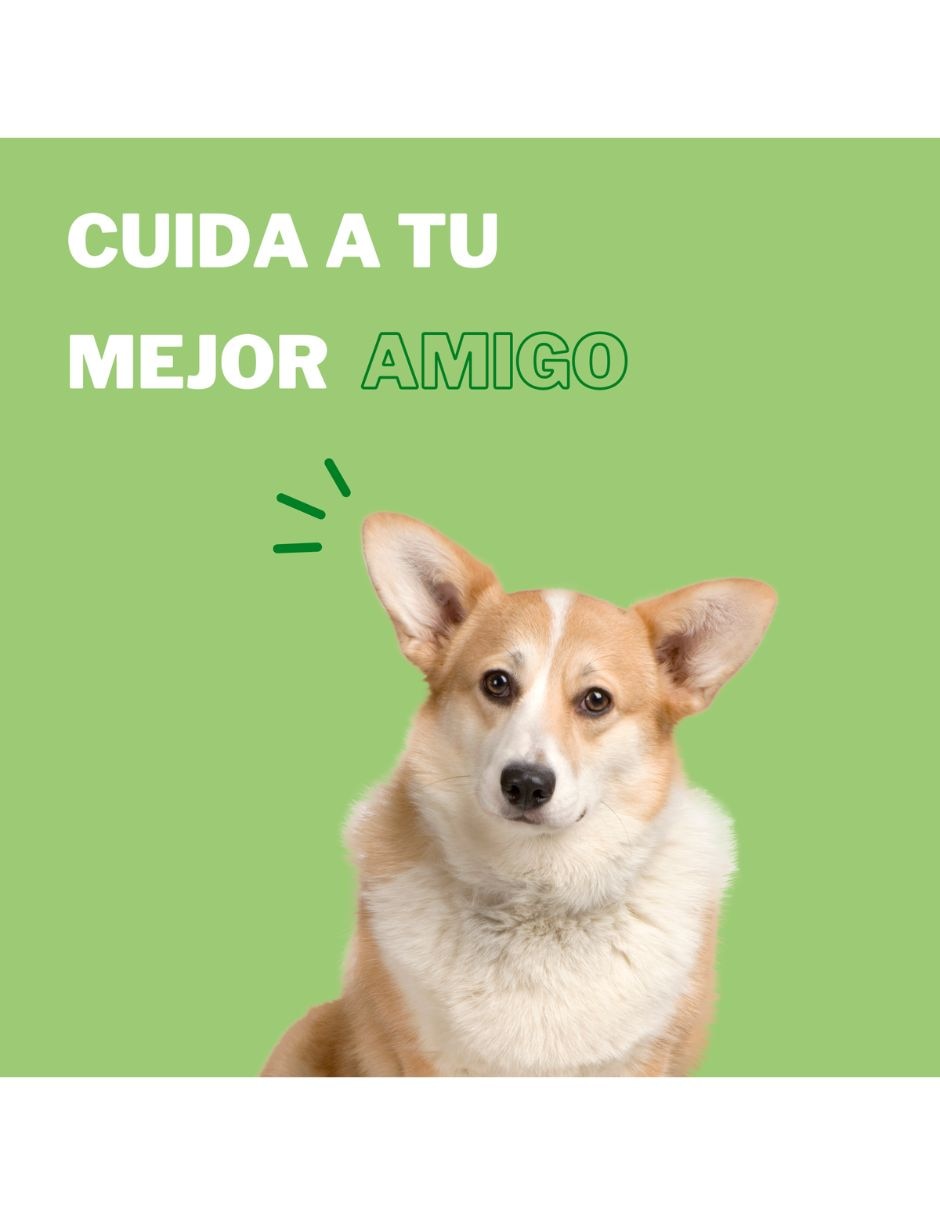Shampoo Soleq para perro y gato