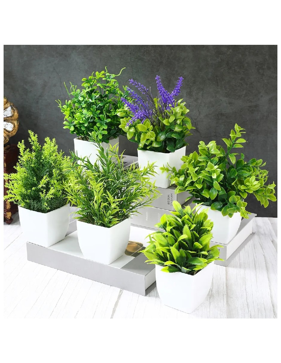 Suculentas artificial Genérica Plantas