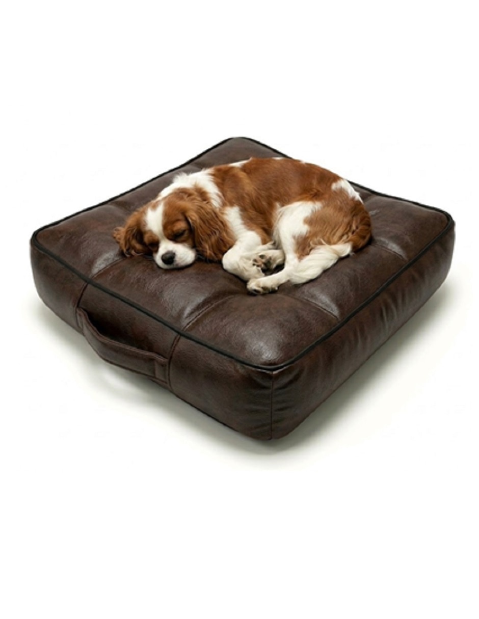 Cama para perro