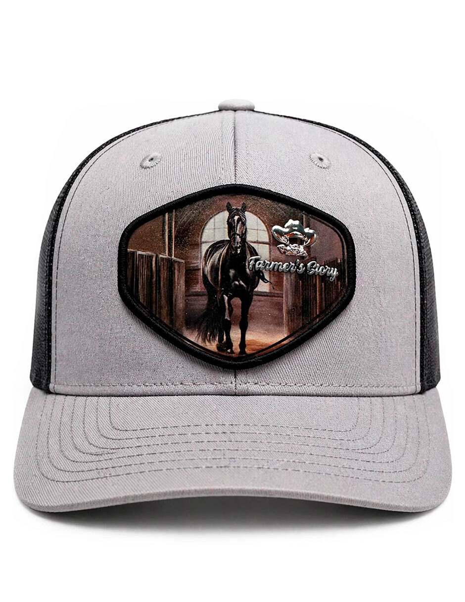 Gorra visera curva snapback para casual para hombre 4