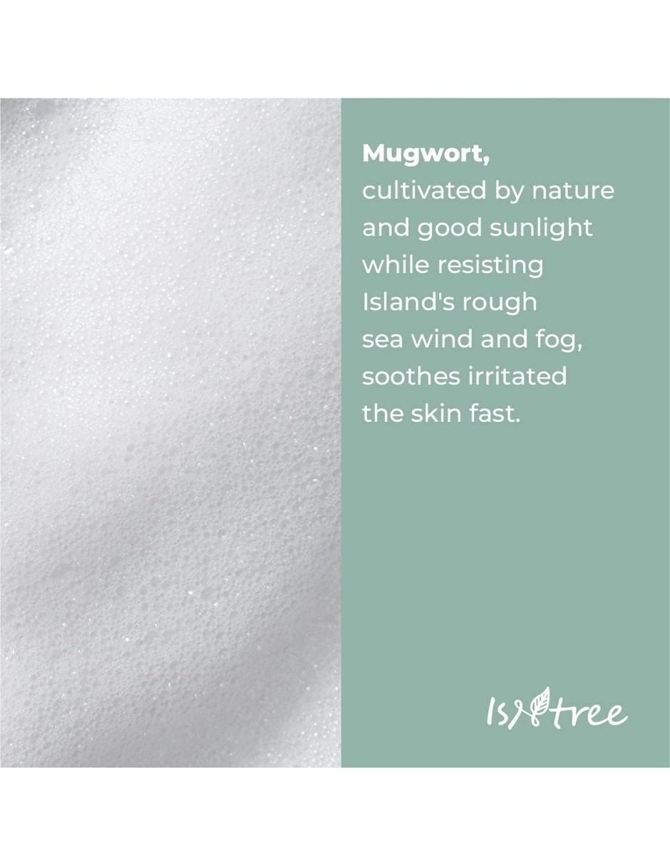 Jabón exfoliante isntree spot saver mugwort powder wash 15 g mugwort calming Isntree