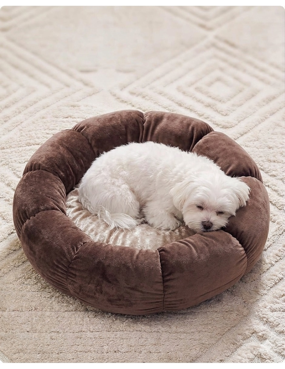 Cama para perro y gato