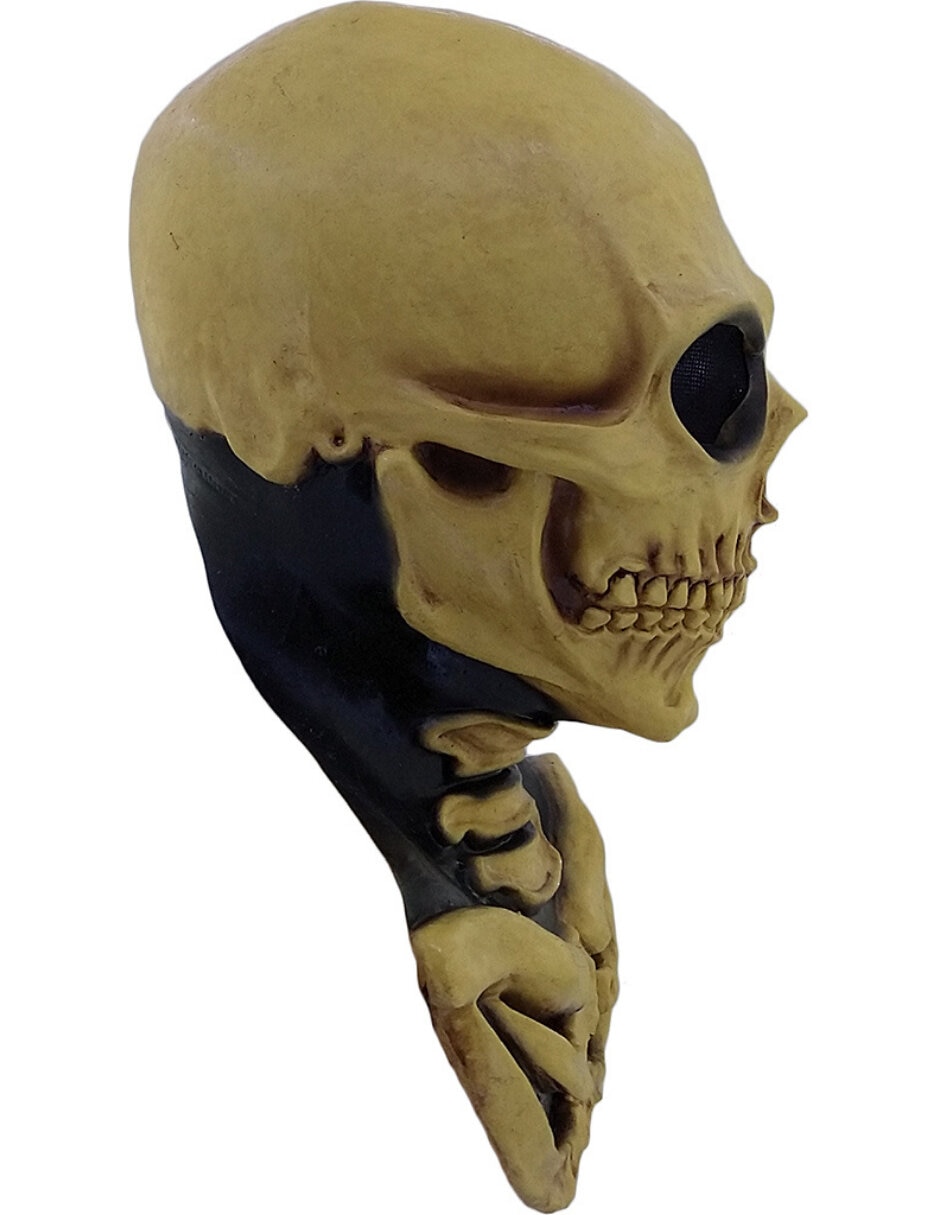 Máscara para disfraz de calavera 4