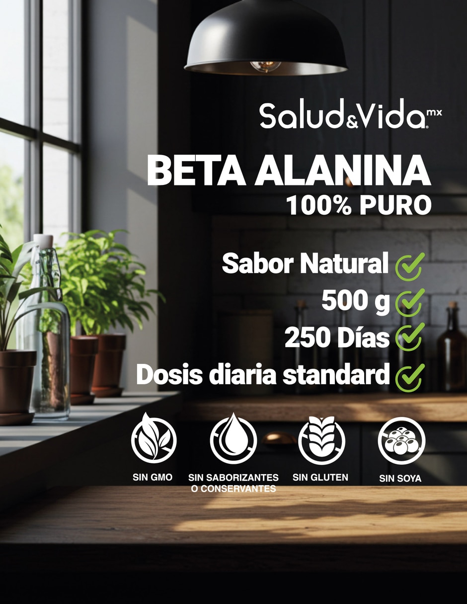 Suplementos alimenticios Beta alanina con creatina Monohidratada en Polvo 500 g 3