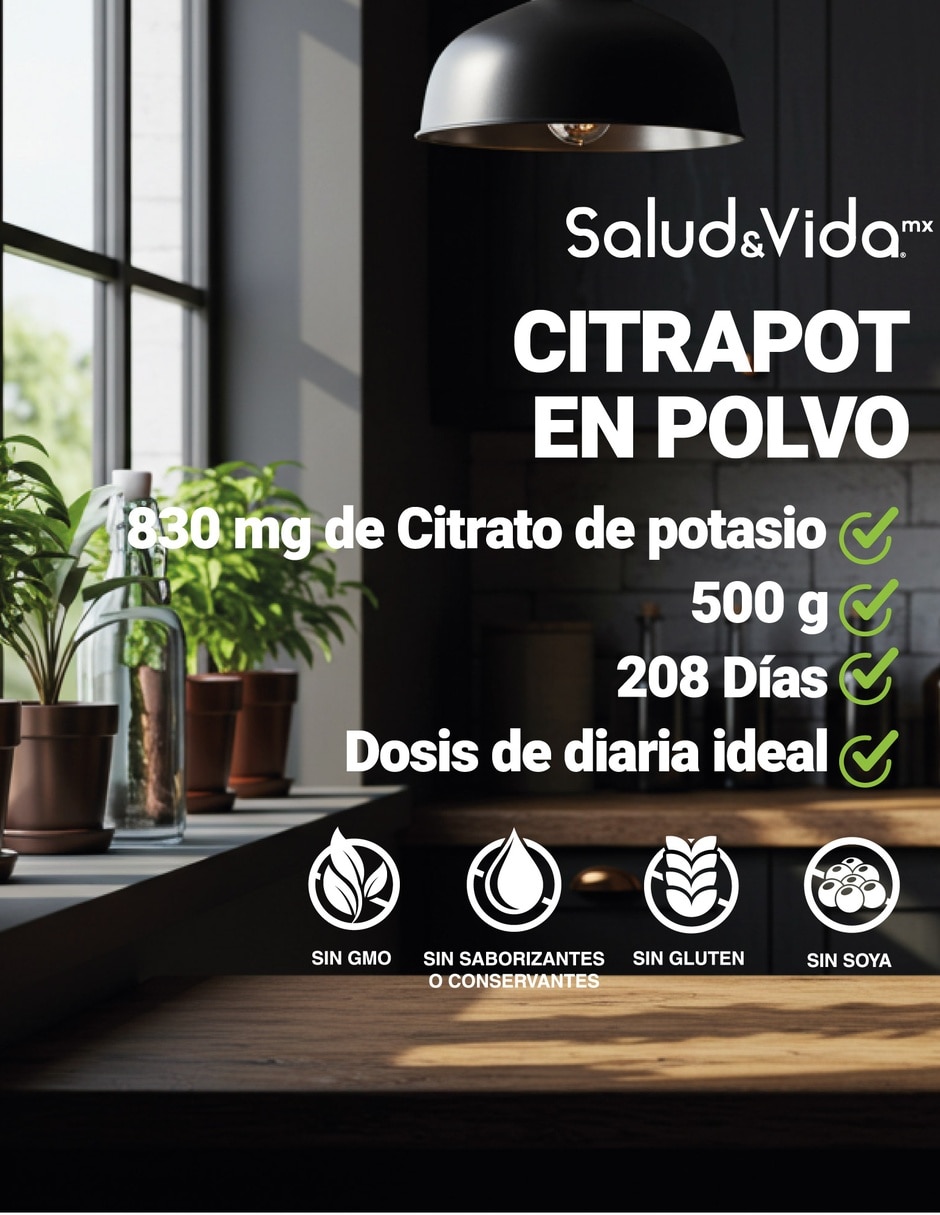 Suplementos alimenticios citrato de potasio en polvo 500 g Salud & Vida MX