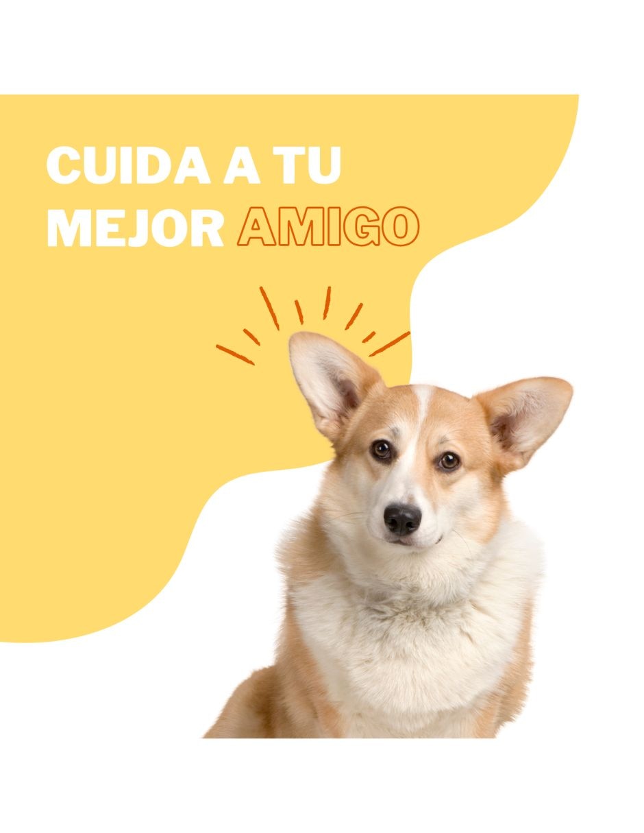 Limpiador de oídos 3