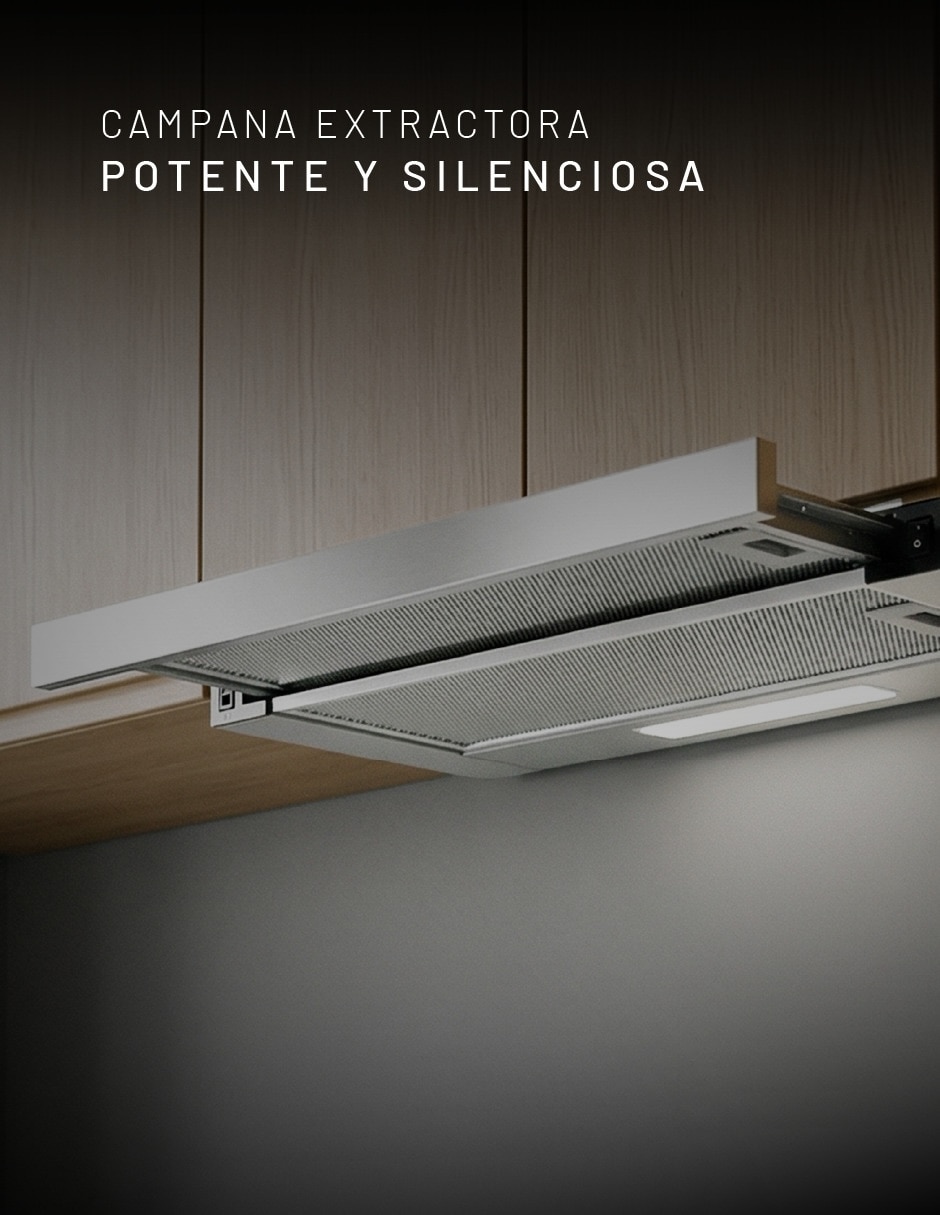 Campana plana CAMEXTEL80AIPB de acero inoxidable 2