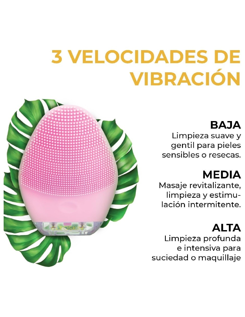 Masajeador facial manual Genérica cabezal
