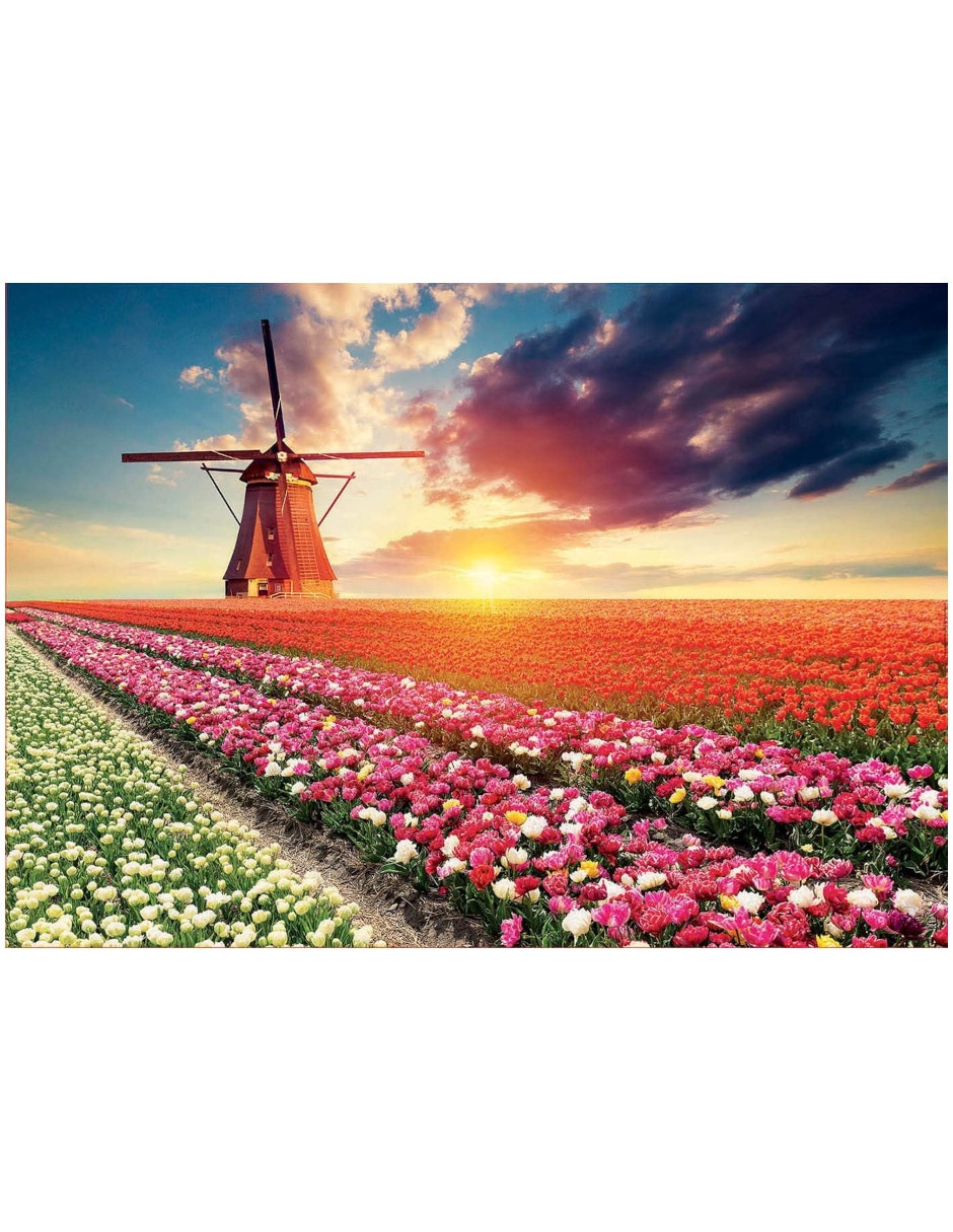 Rompecabezas Tulipanes Paisaje De Tulipanes Educa 1500 piezas