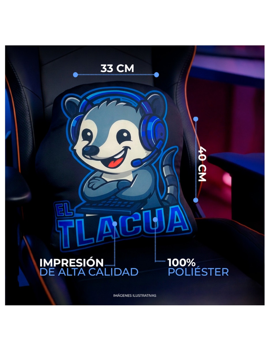 Cojín decorativo 5