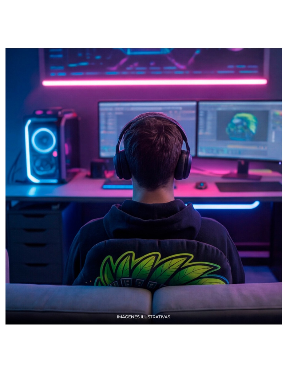Cojín decorativo DXT Gaming