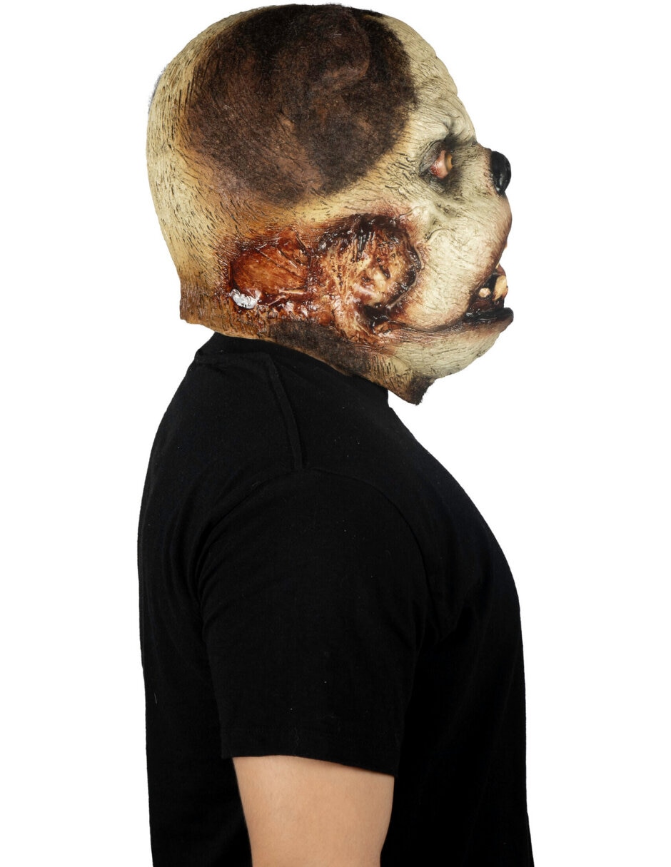 Máscara para disfraz de pug zombie 5