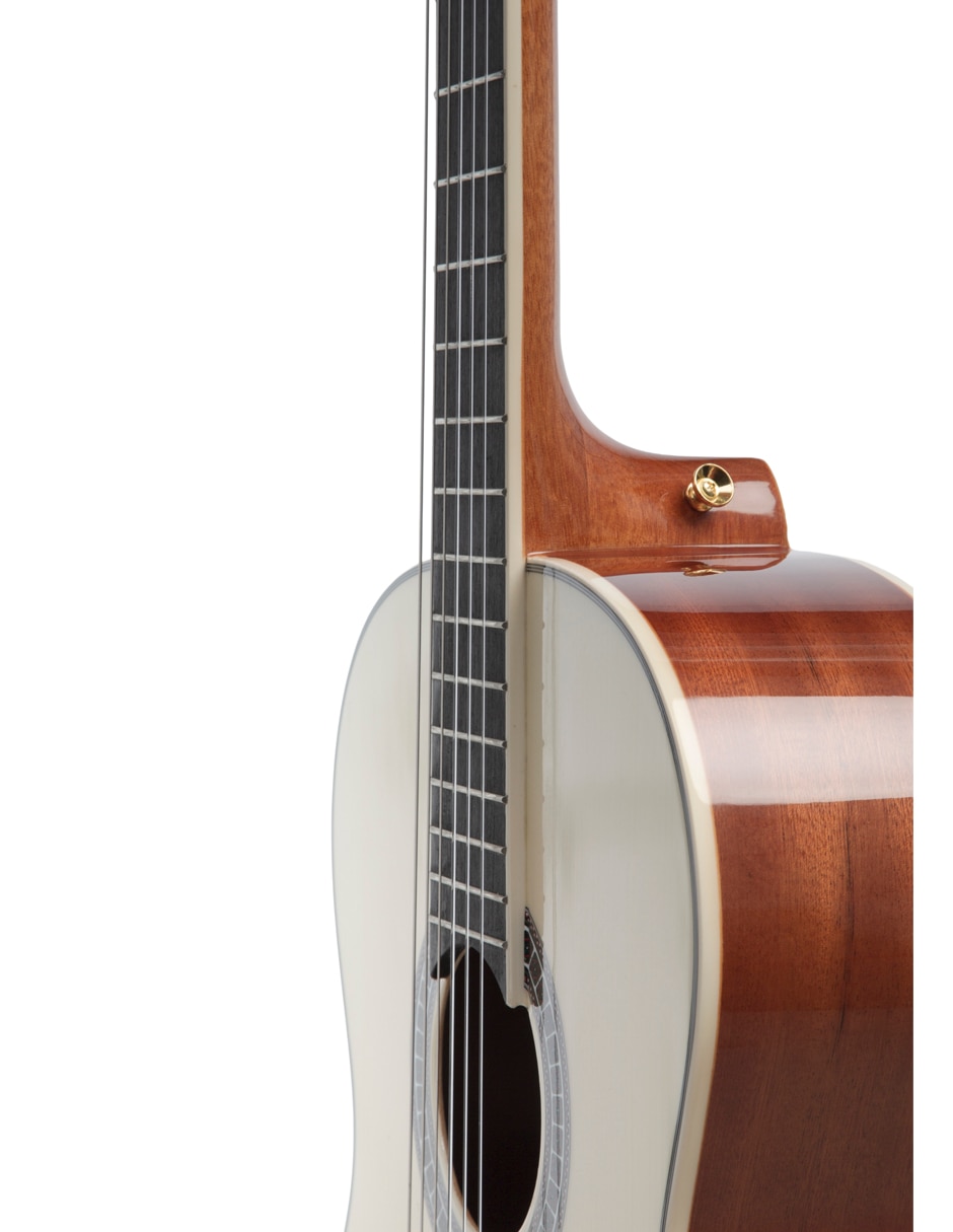 Guitarra acústica clásica Bamboo