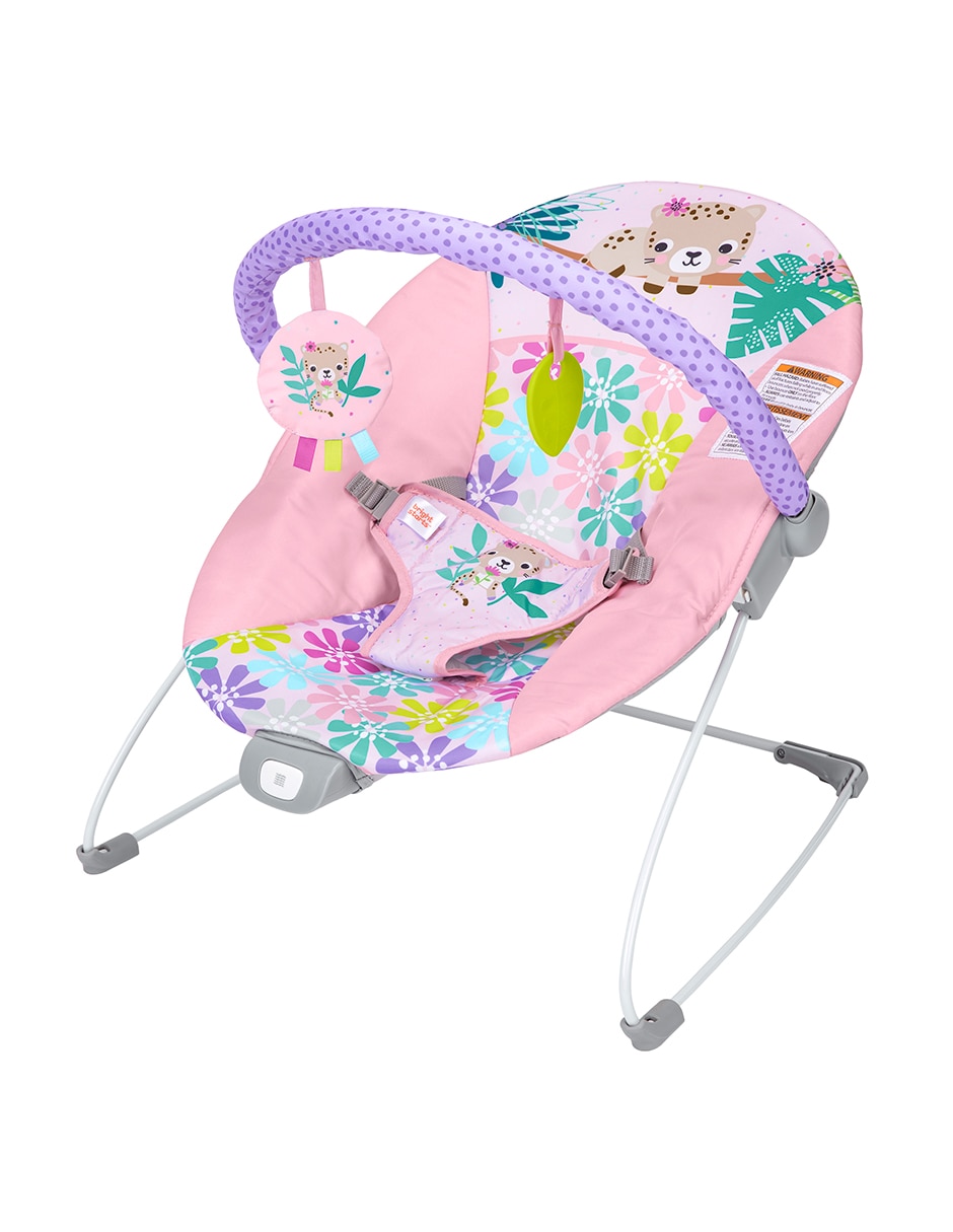 Bouncer Bright Starts Wildflower Wonders Bouncer Bright Starts Wildflower Wonders