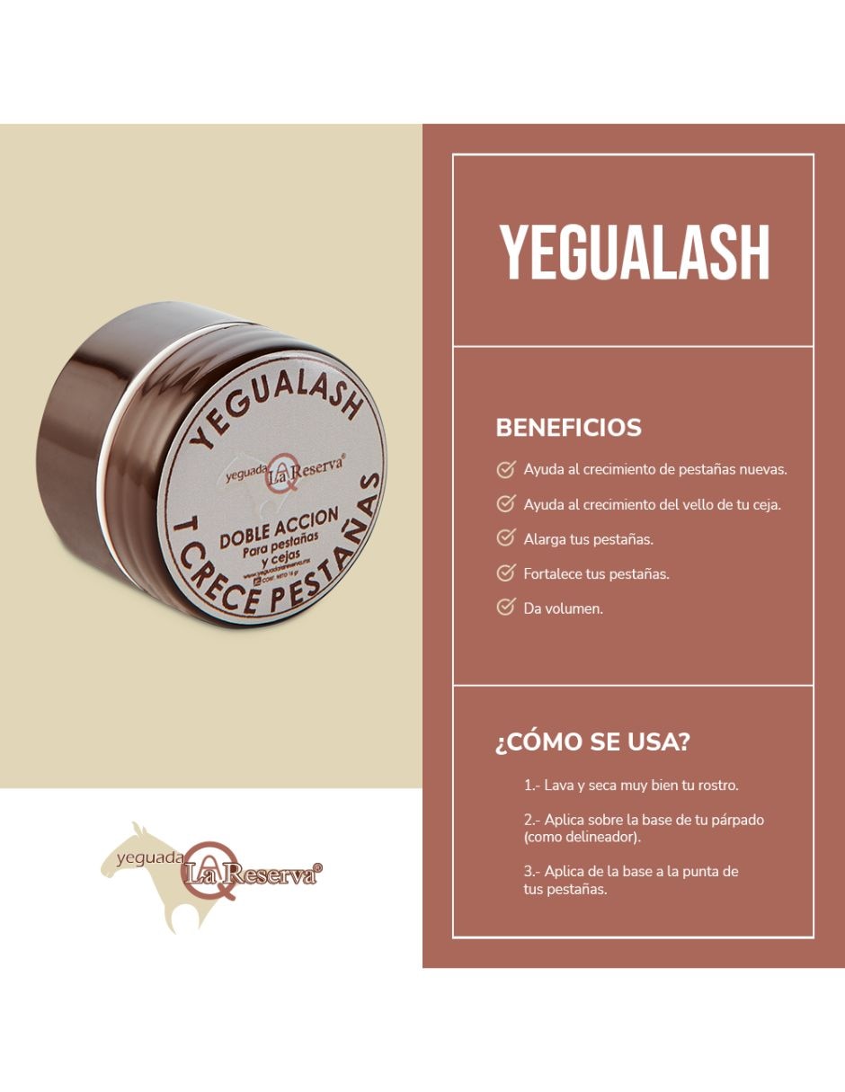 Set gel para cejas