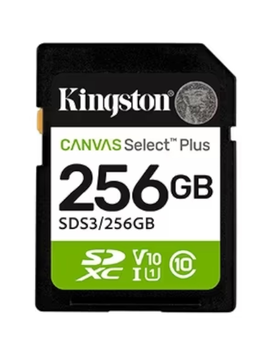 Memoria sd capacidad 256 gb 2