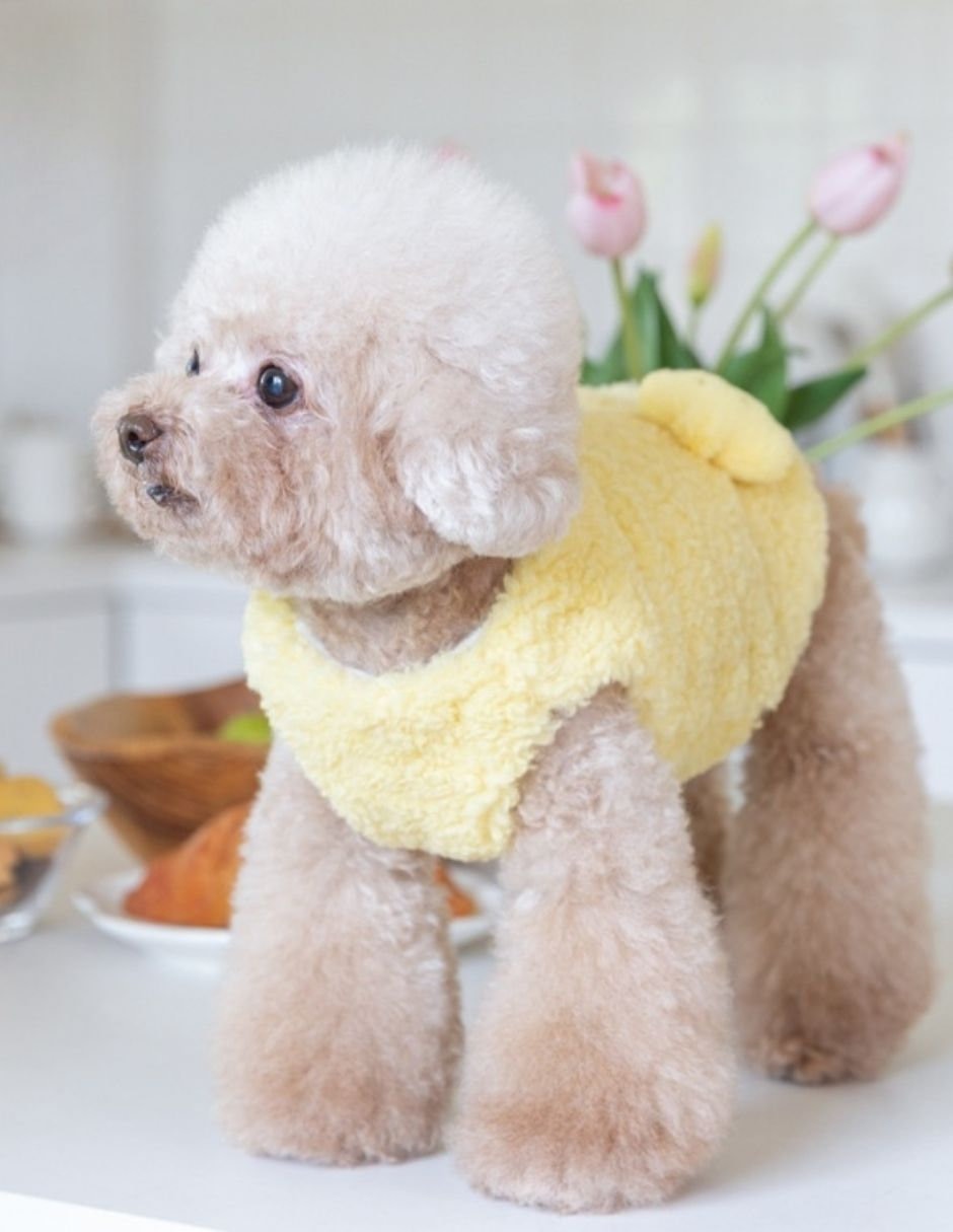 Chaleco para perro amarillo 5