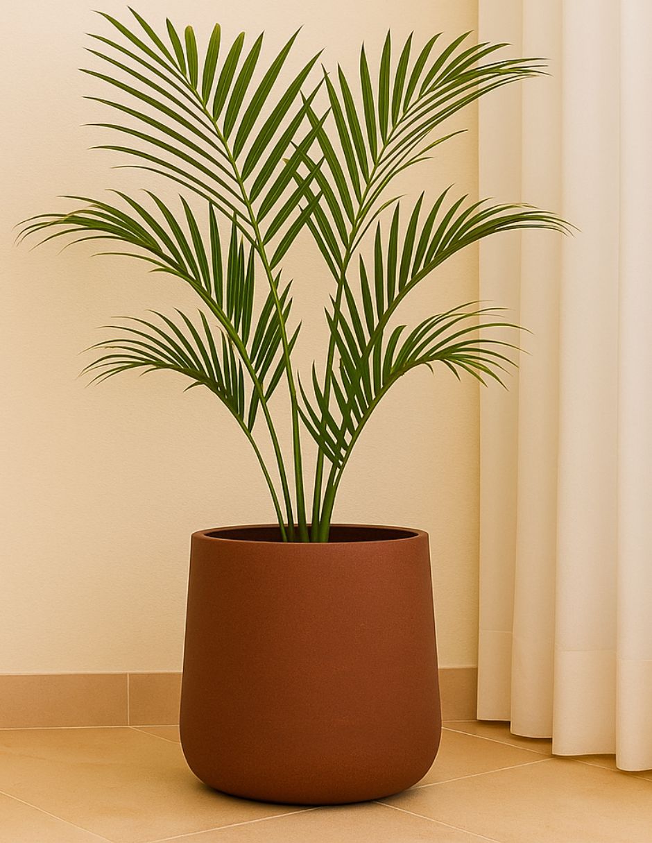 Maceta 2