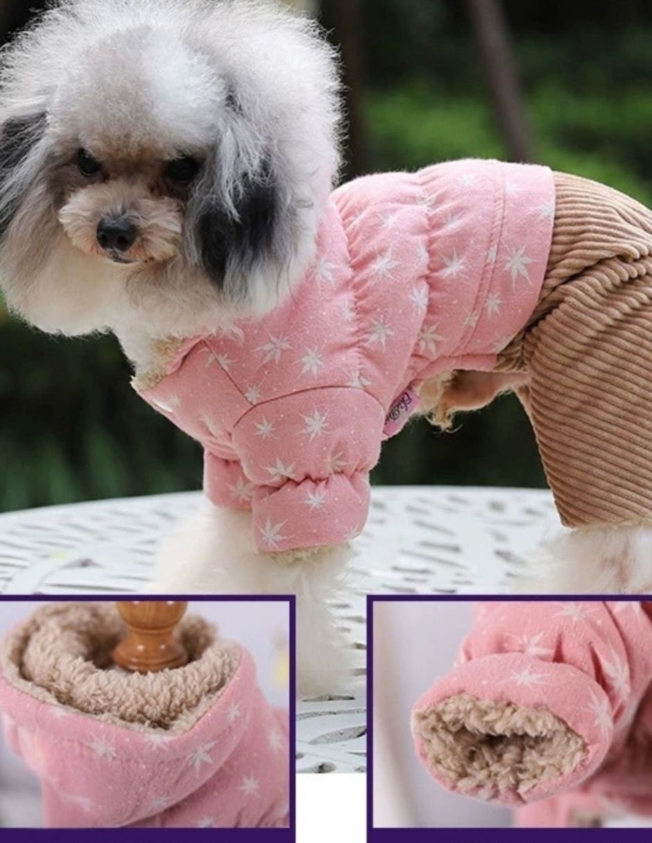 Conjunto para perro 4