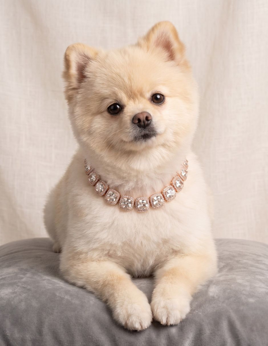 Collar decorativo para perro Maypet metal rosa