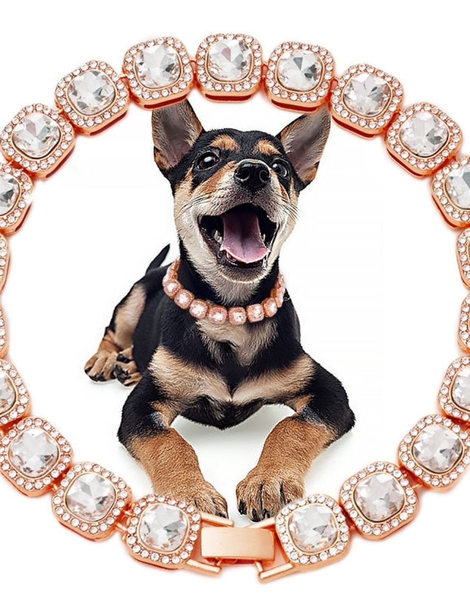 Collar decorativo para perro Maypet metal rosa