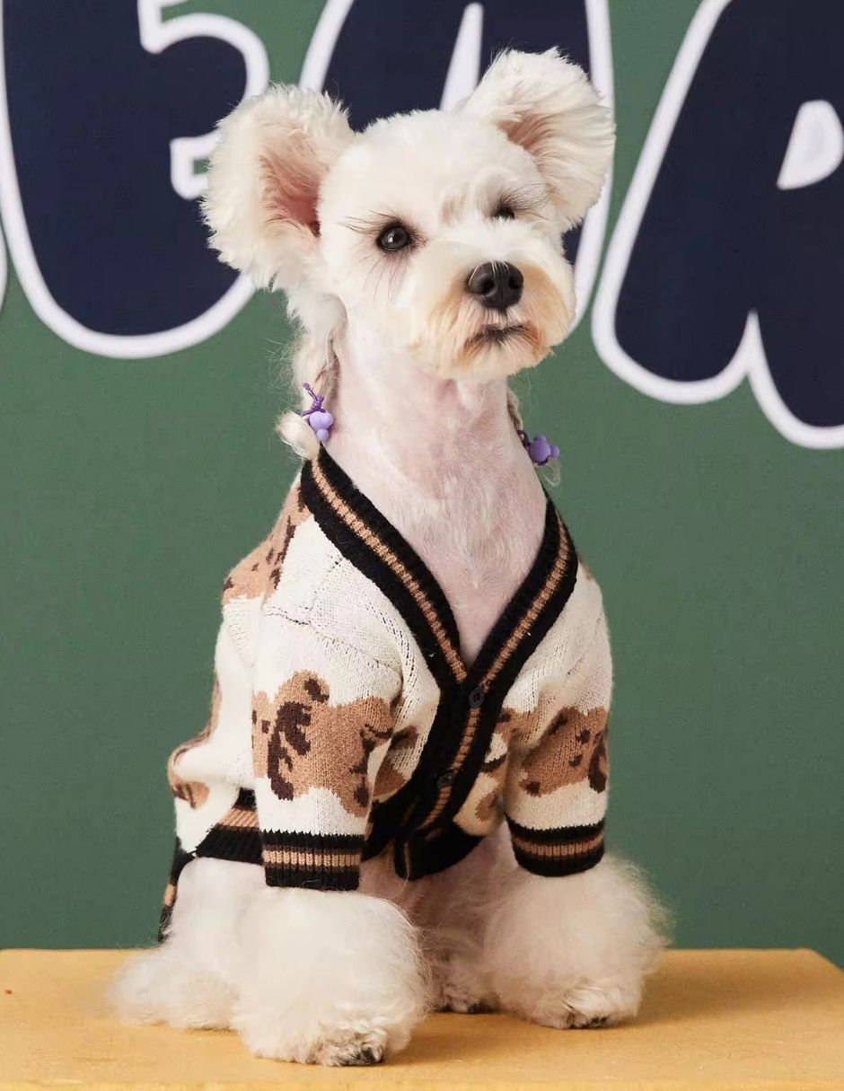 Suéter para perro blanco osos 4
