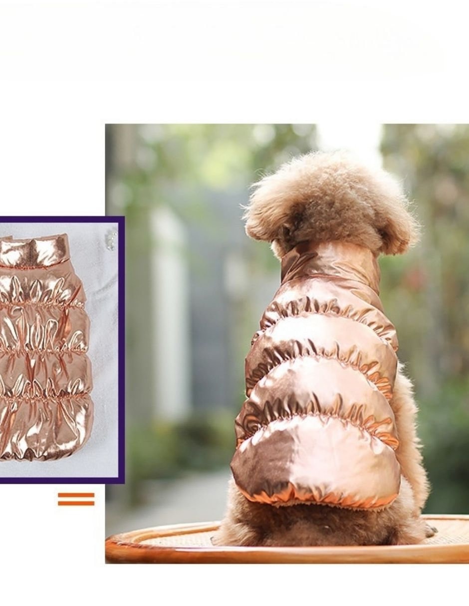 Chaleco para perro dorado 3