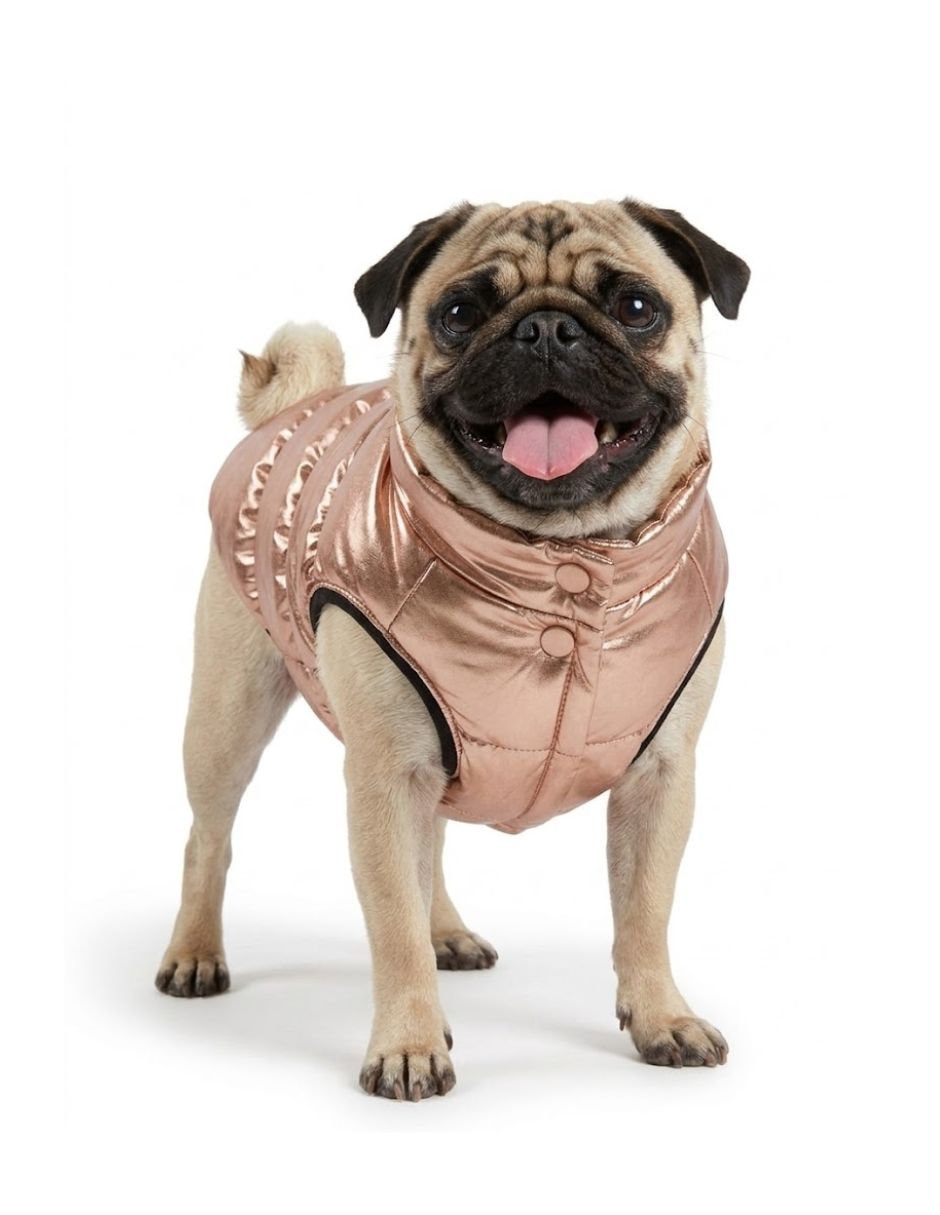 Chaleco para perro dorado 5