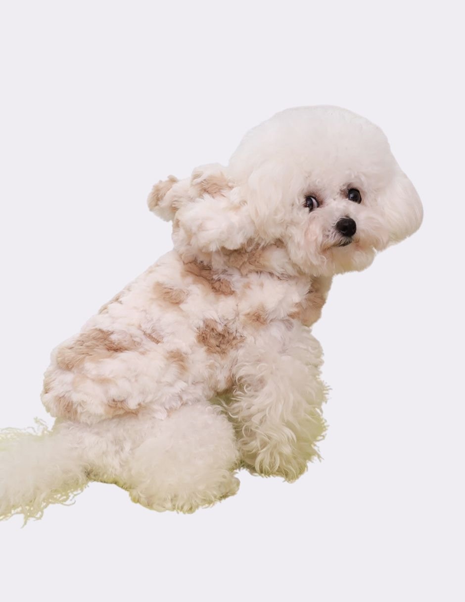 Chaleco para perro Maypet