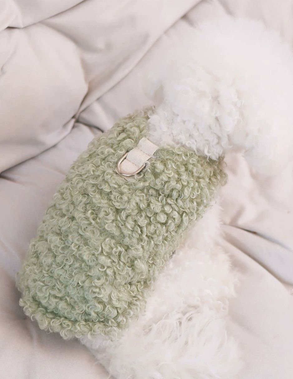 Chaleco para perro verde abrigo 3