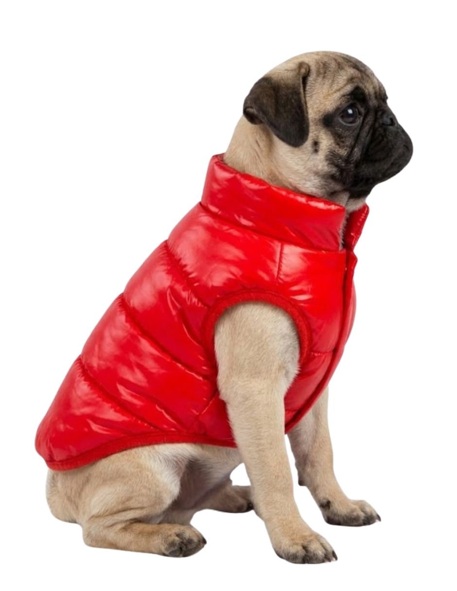 Chaleco para perro Maypet rojo abrigo