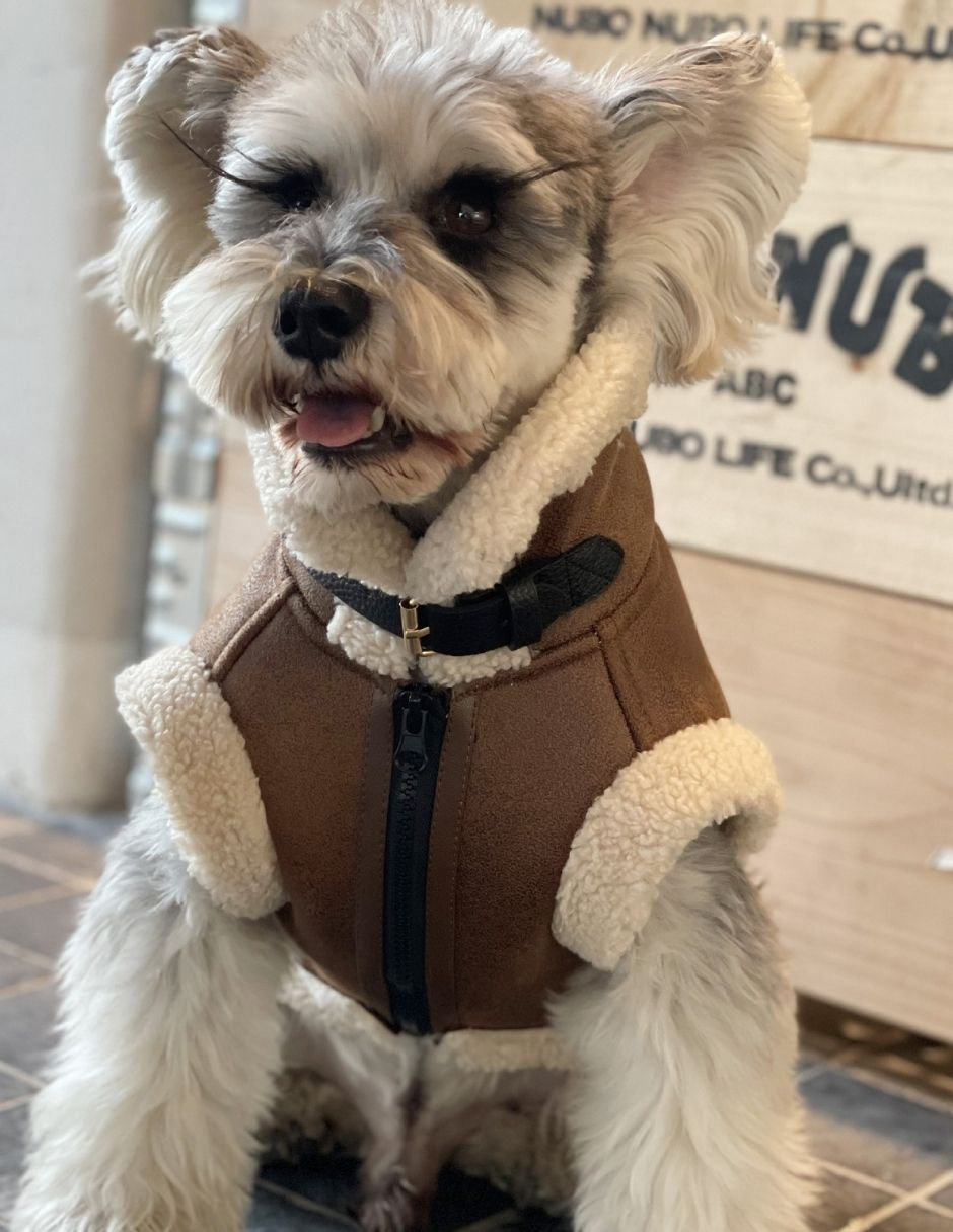 Chaleco para perro cafe 4