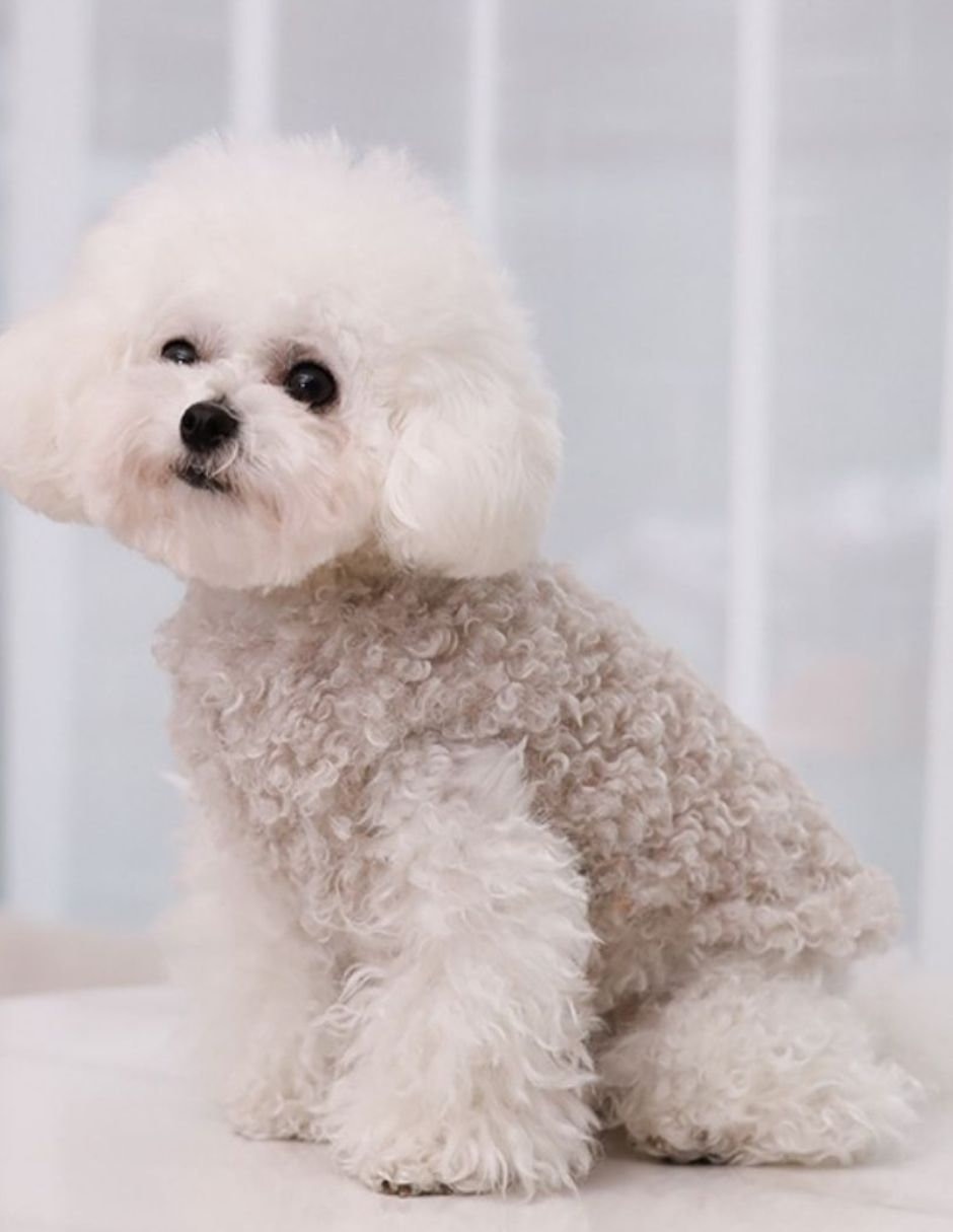Chaleco para perro Maypet rosa abrigo