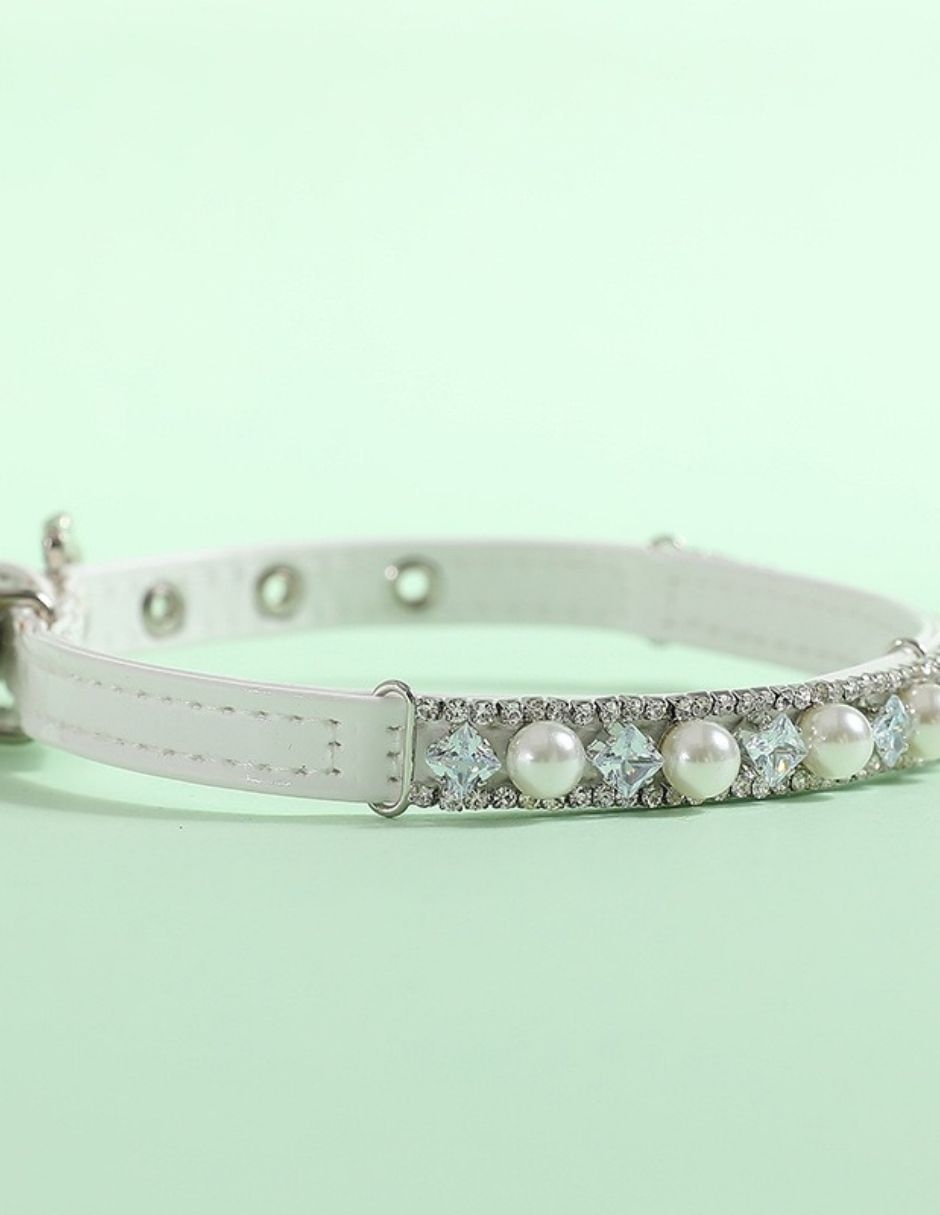 Collar decorativo para perro vinipiel