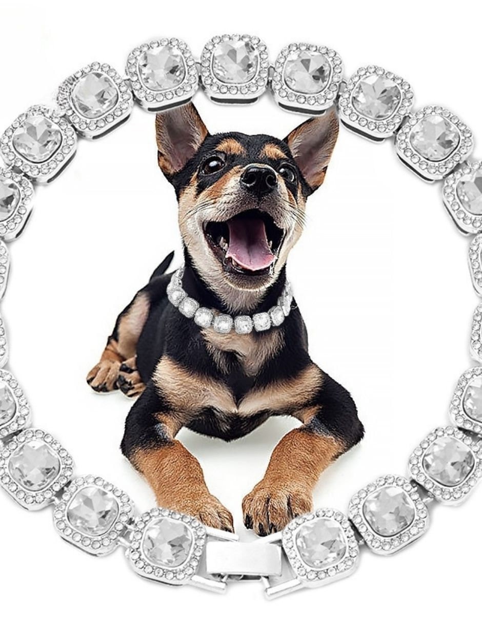 Collar decorativo para perro cristal plata