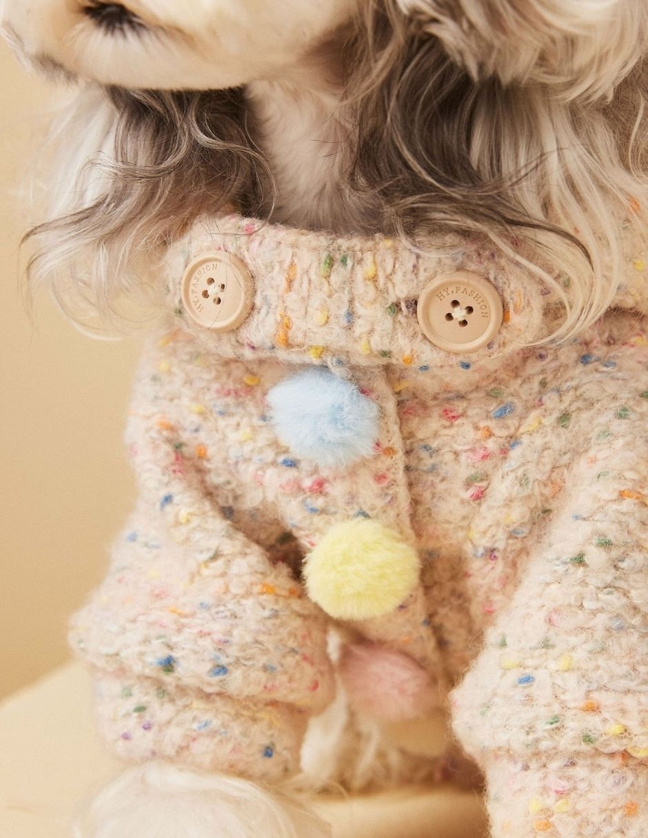 Abrigo para perro con gorro 3