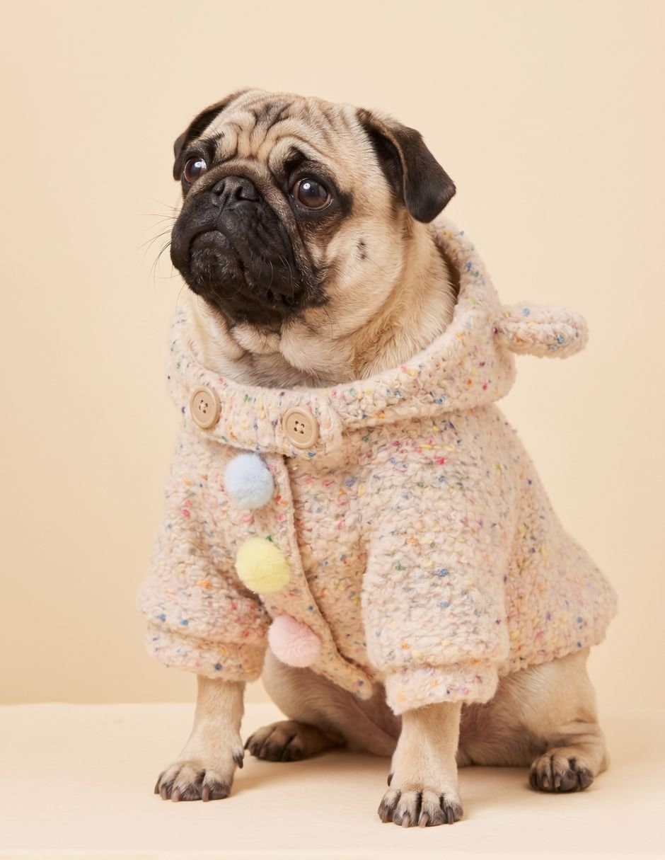 Abrigo para perro Maypet con gorro