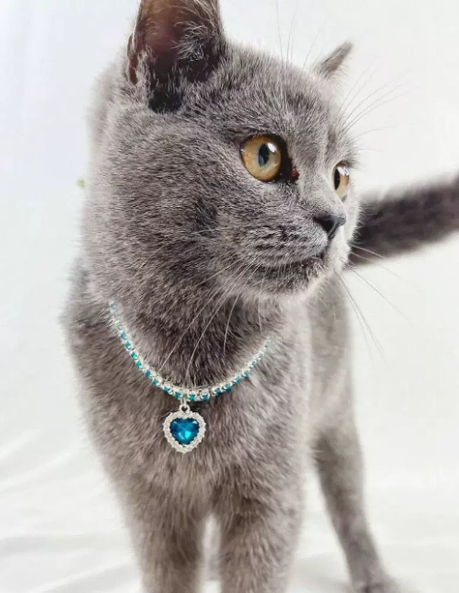 Collar decorativo para perro Maypet cristal azul