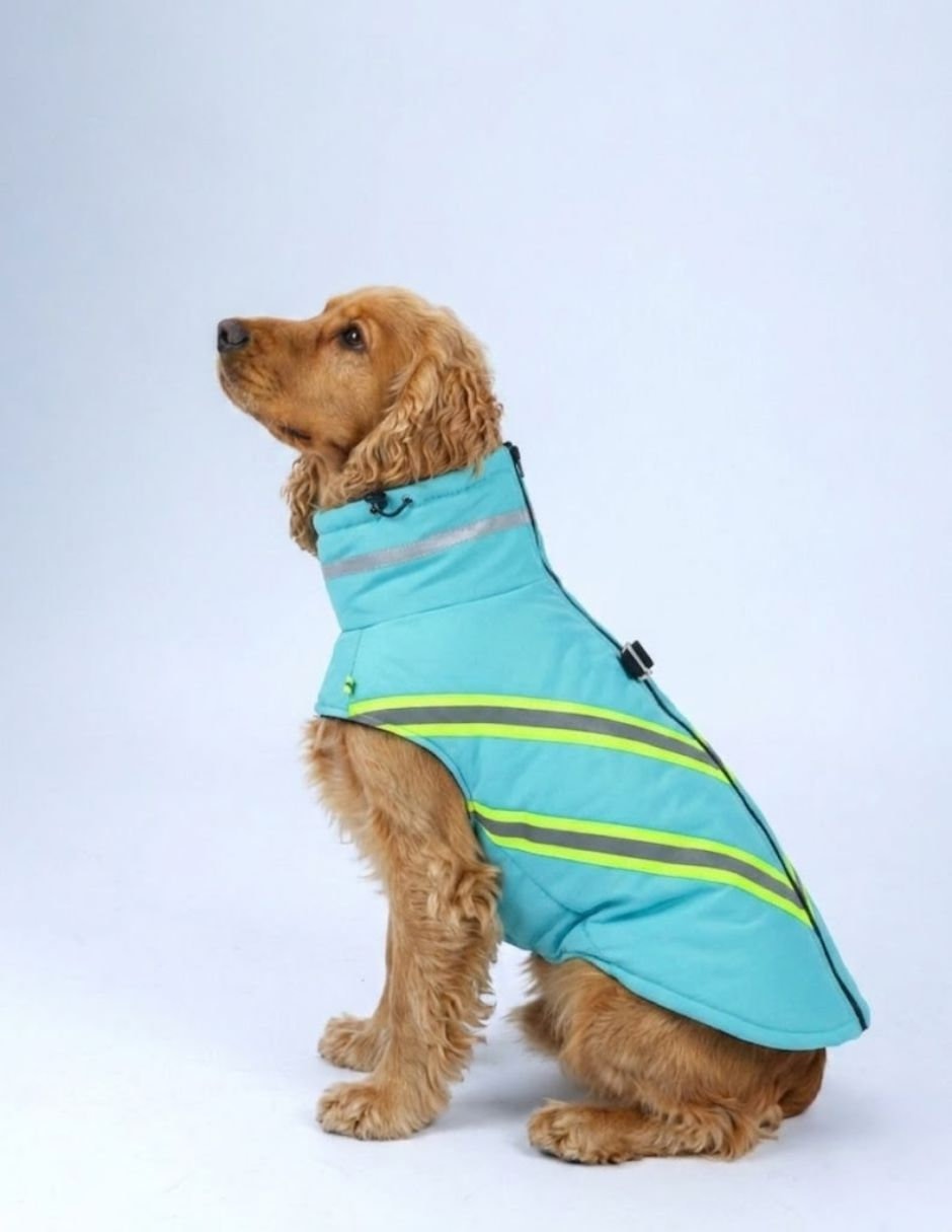 Chaleco para perro azul reflejo 3