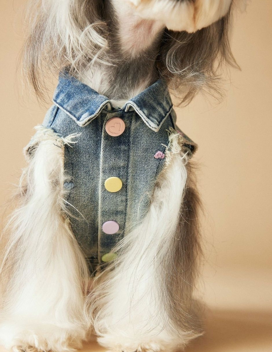 Chaleco para perro Maypet de mezclilla