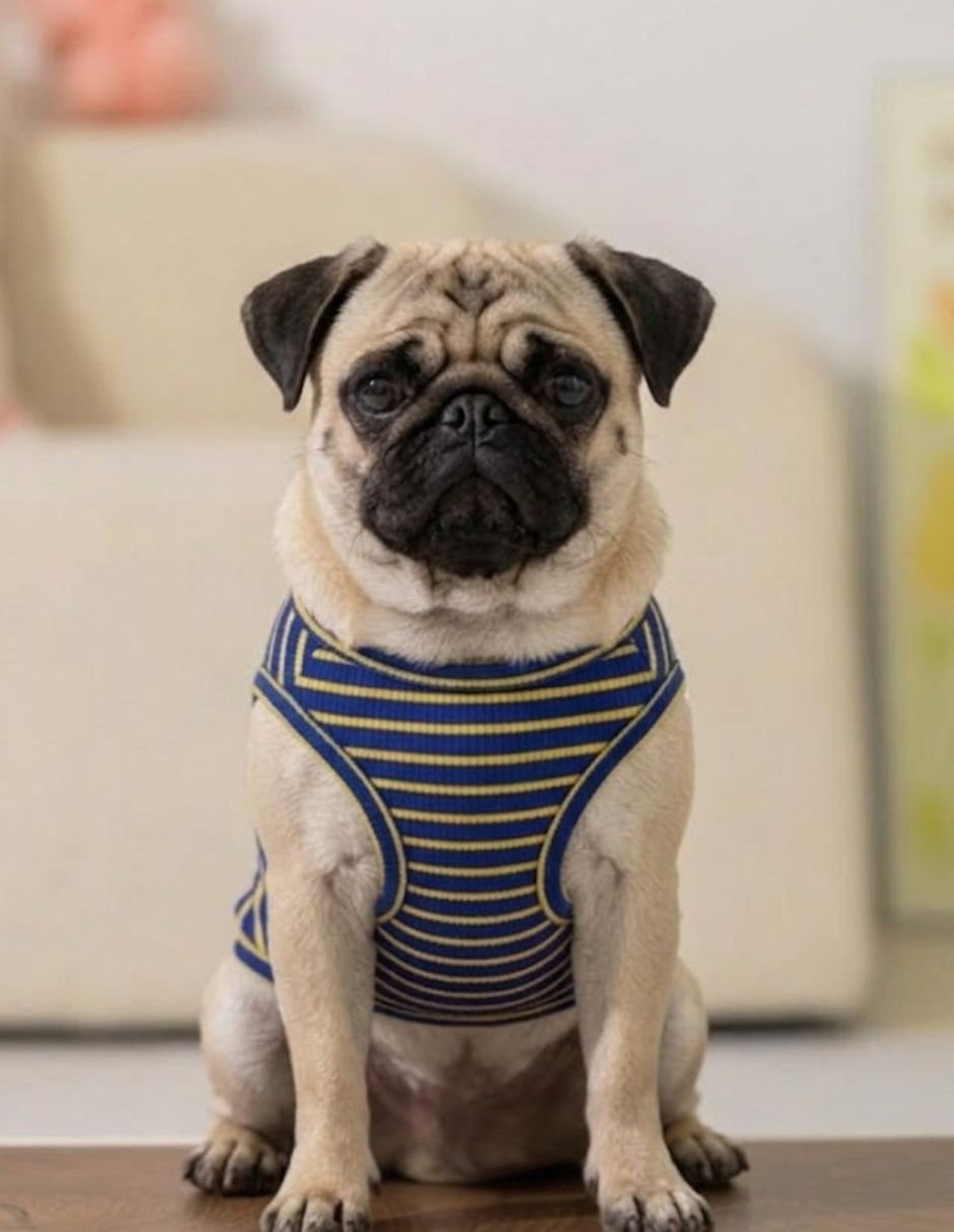 Camisa para perro Maypety
