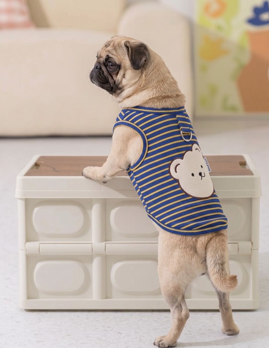 Camisa para perro Maypety