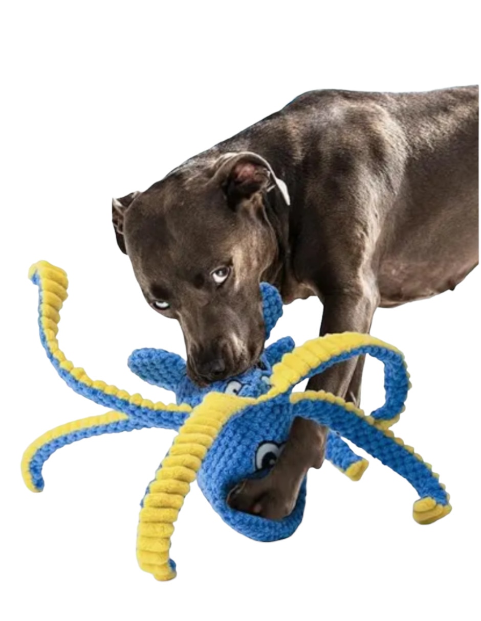 Peluche para perro 2