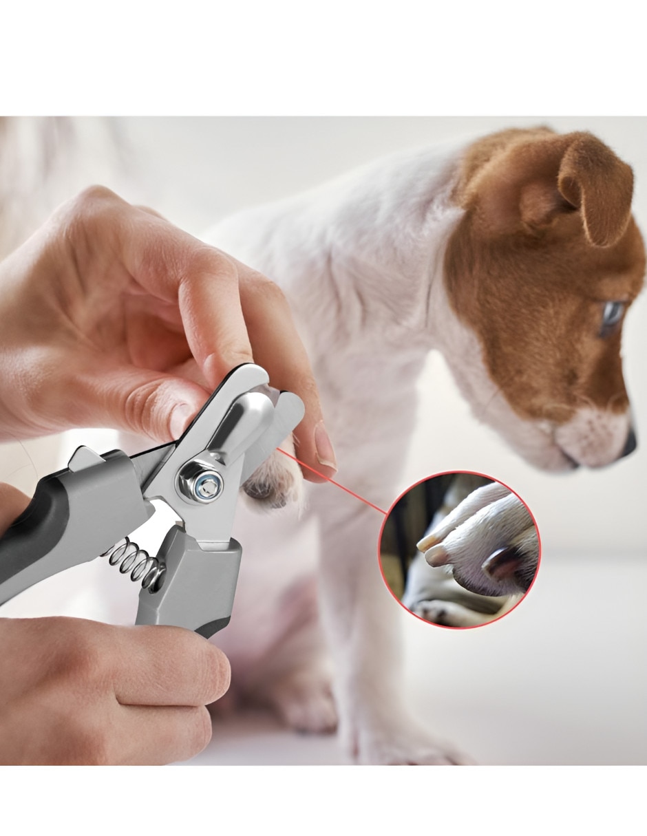 Cortaúñas Xtellar para perros