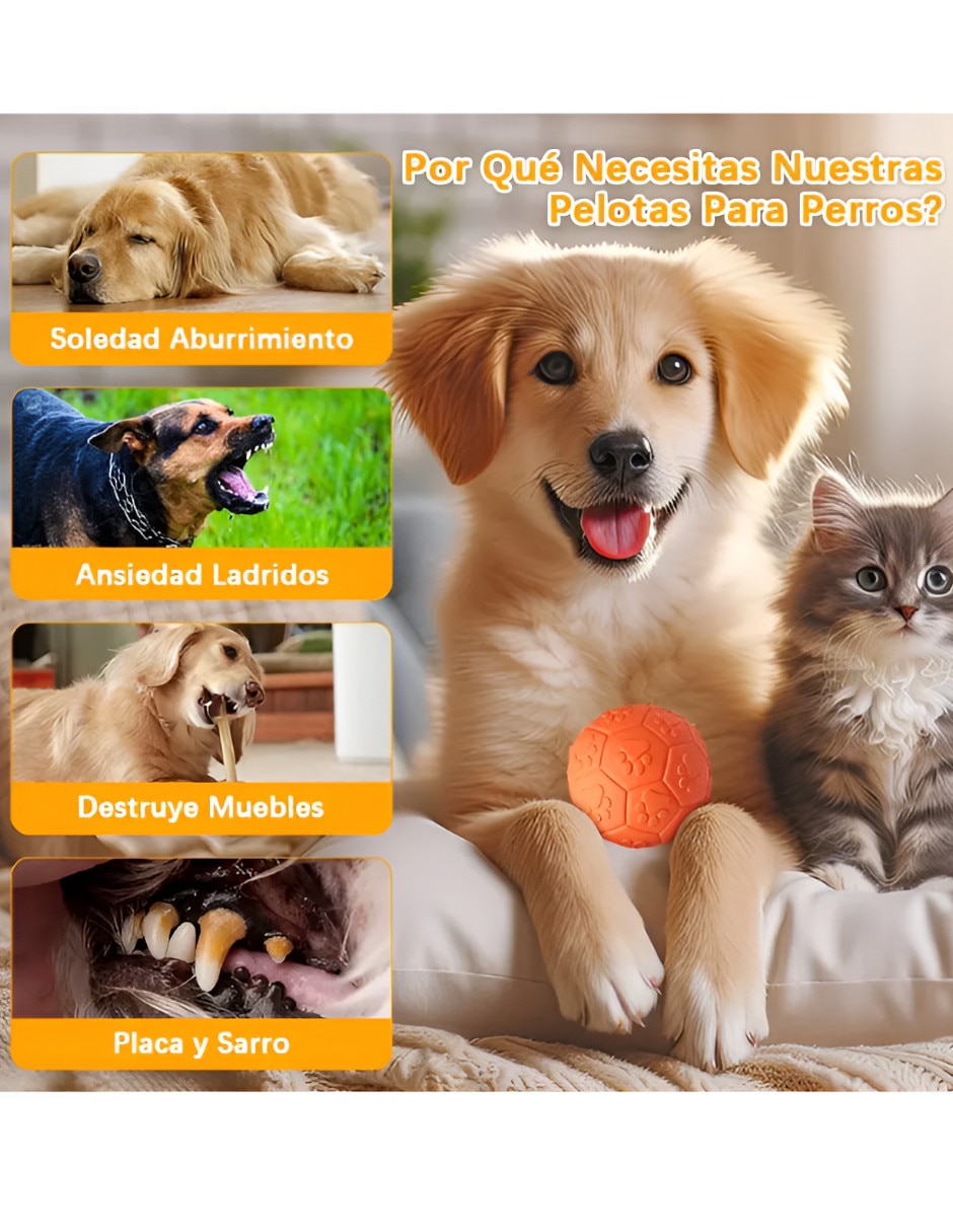 Pelota para perro 3