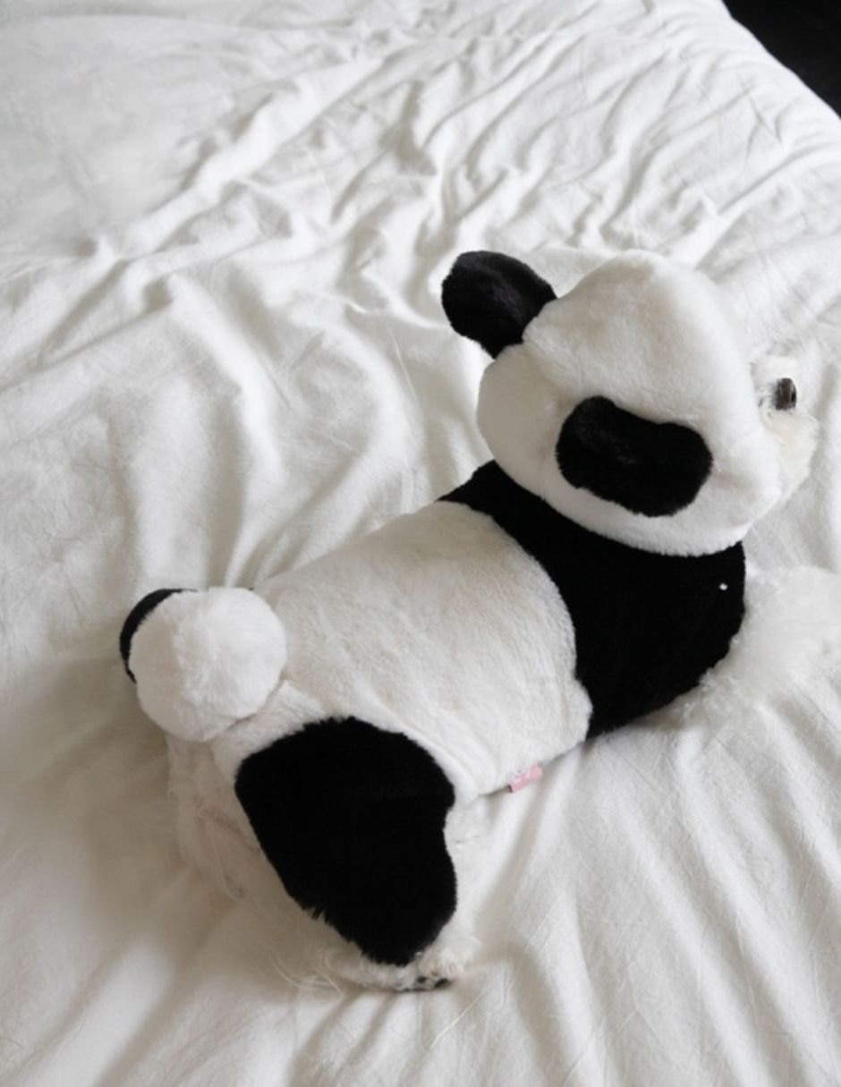Disfraz para perro Maypet de panda