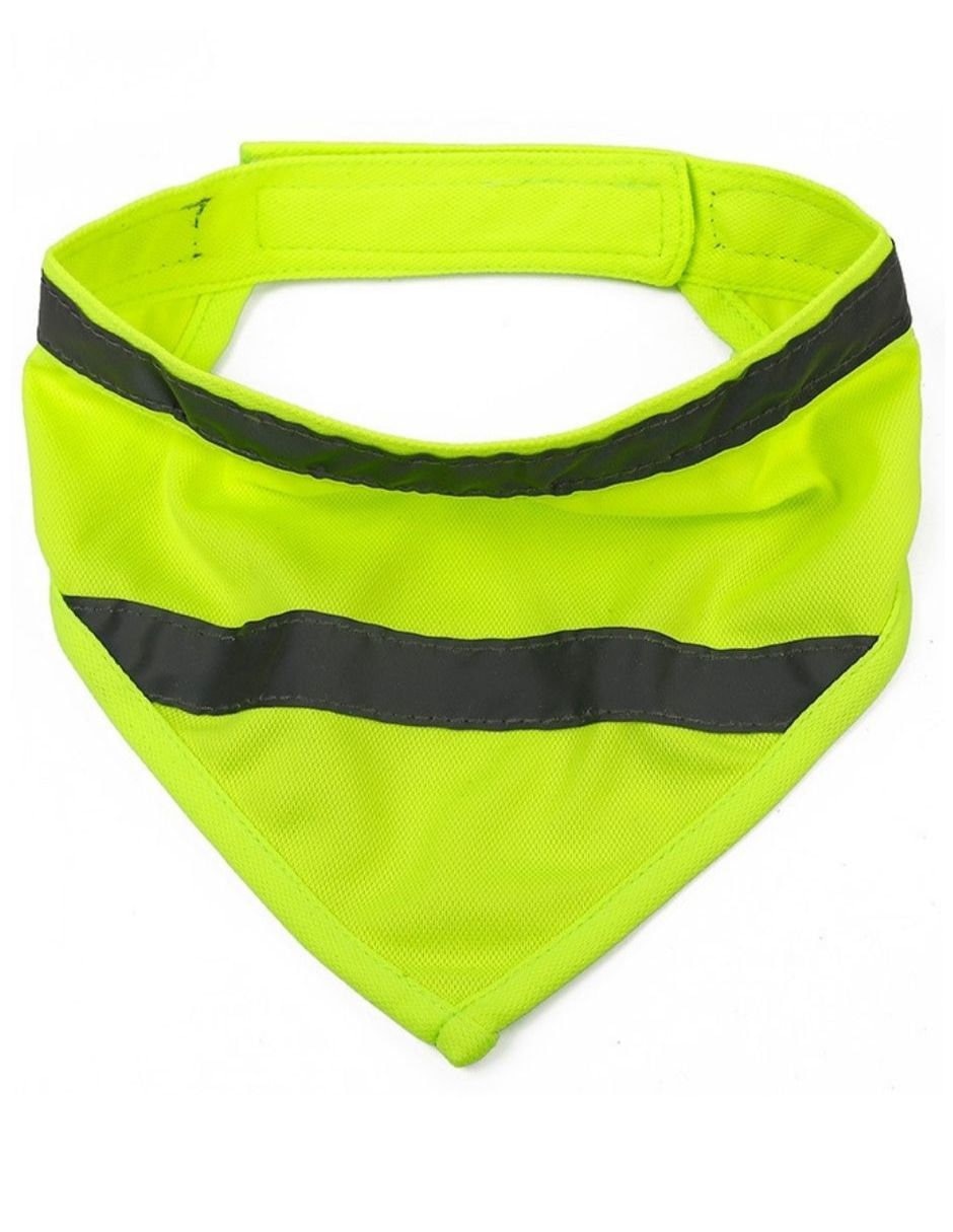 Pañuelo para perro
