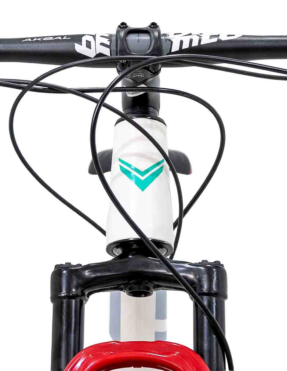 Bicicleta de montaña V Industries rodada 29 unisex