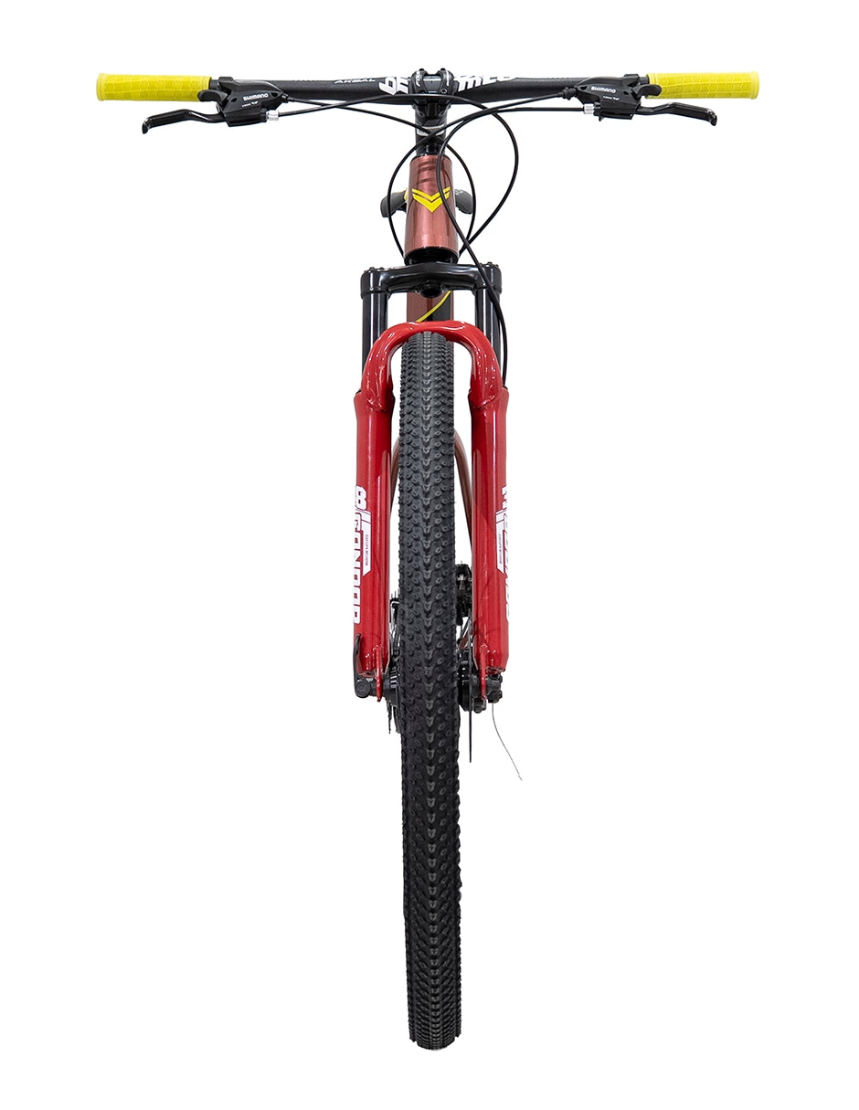 Bicicleta de montaña V Industries rodada 29 unisex